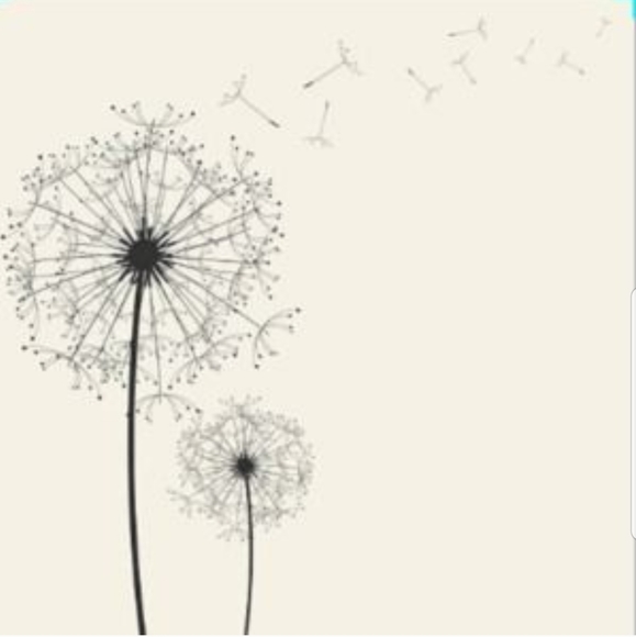 Meet your Posher, Addison - Picture 1 of 1